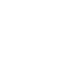 Arena Guadalajara